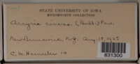 Image Associated With the Occurence